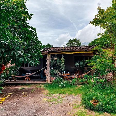 شقة Casa Papaki Mérida المظهر الخارجي الصورة